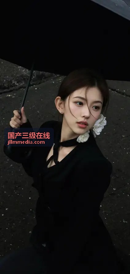 国产三级在线高清资源
